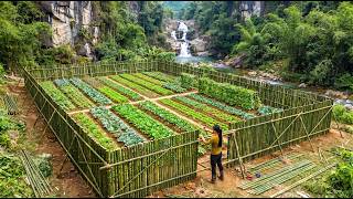 Building A New Farm: A Woman Builds A Sturdy Bamboo Fence For The Vegetable Garden In The Forest