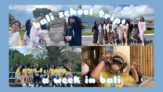 VLOG | bali school trip pt 1🏝️: pura ulundanu bedugul, bali zoo, desa panglipura, etc!