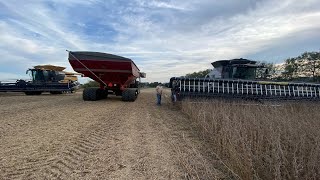 6 combines harvesting Soybean