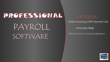 Professional payroll software - Softdrive review how to payroll employee setup