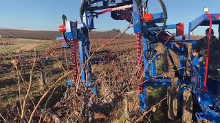 Mechanically Pruning Quad Trellis