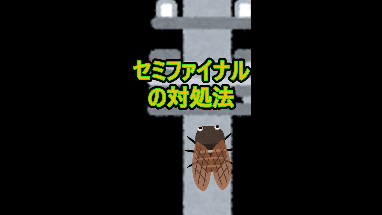 セミファイナル セミ爆弾 への対処法 Shorts Youtube