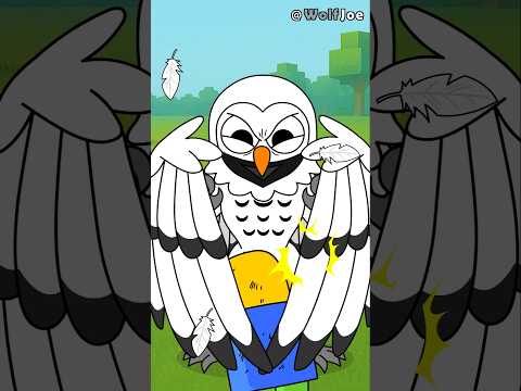 Owl vs Noob - Math Battle (99 Nights in the Forest) #roblox | Wolf Joe Toons | 로블록스