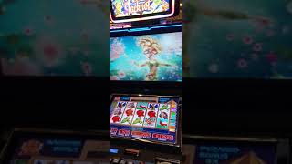 MEGA JACK #SLOT#VIVA CASİNO #CASINO TEKNOLOJI...iyi seyirler