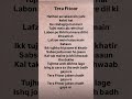 Tera Fitoor Lyrics 🎶