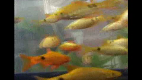 HardwareZone Philippines: GE G3WP Waterproof Digital Camera