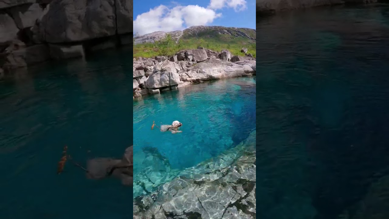 HAPPY Golden Retriever swimming in Norway!