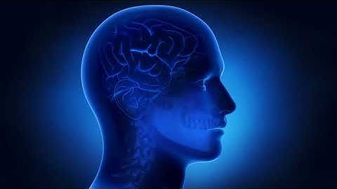 How We See Different Things with Our Eyes Human eye working explained