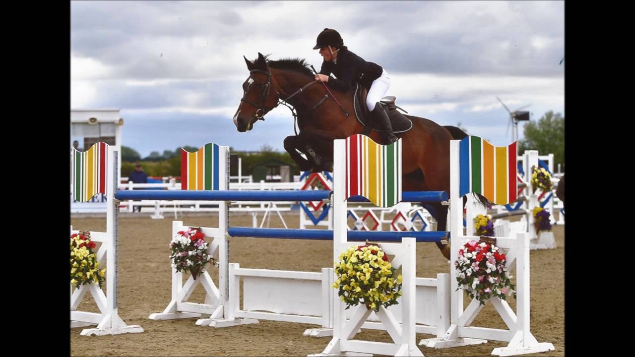 Get to know Cardiff Met Equestrian Team YouTube