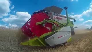 Claas lexion 480 C900, Claas lexion 600 V900, žatva Slovensko Húšky