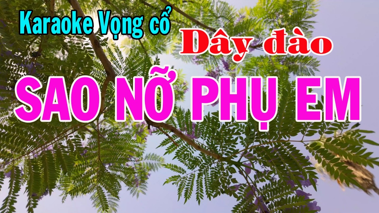 Karaoke vọng cổ SAO NỠ PHỤ EM - DÂY ĐÀO