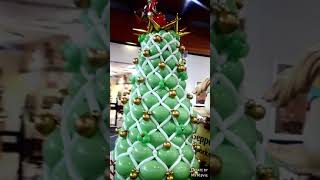 WONDER LAND OF TREES THREE STAR MALL McMinnville TN.