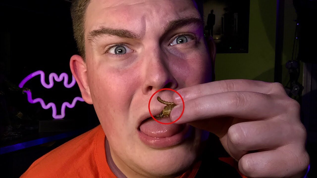 Eating Flavored BUGS | #HalloweenChallenge