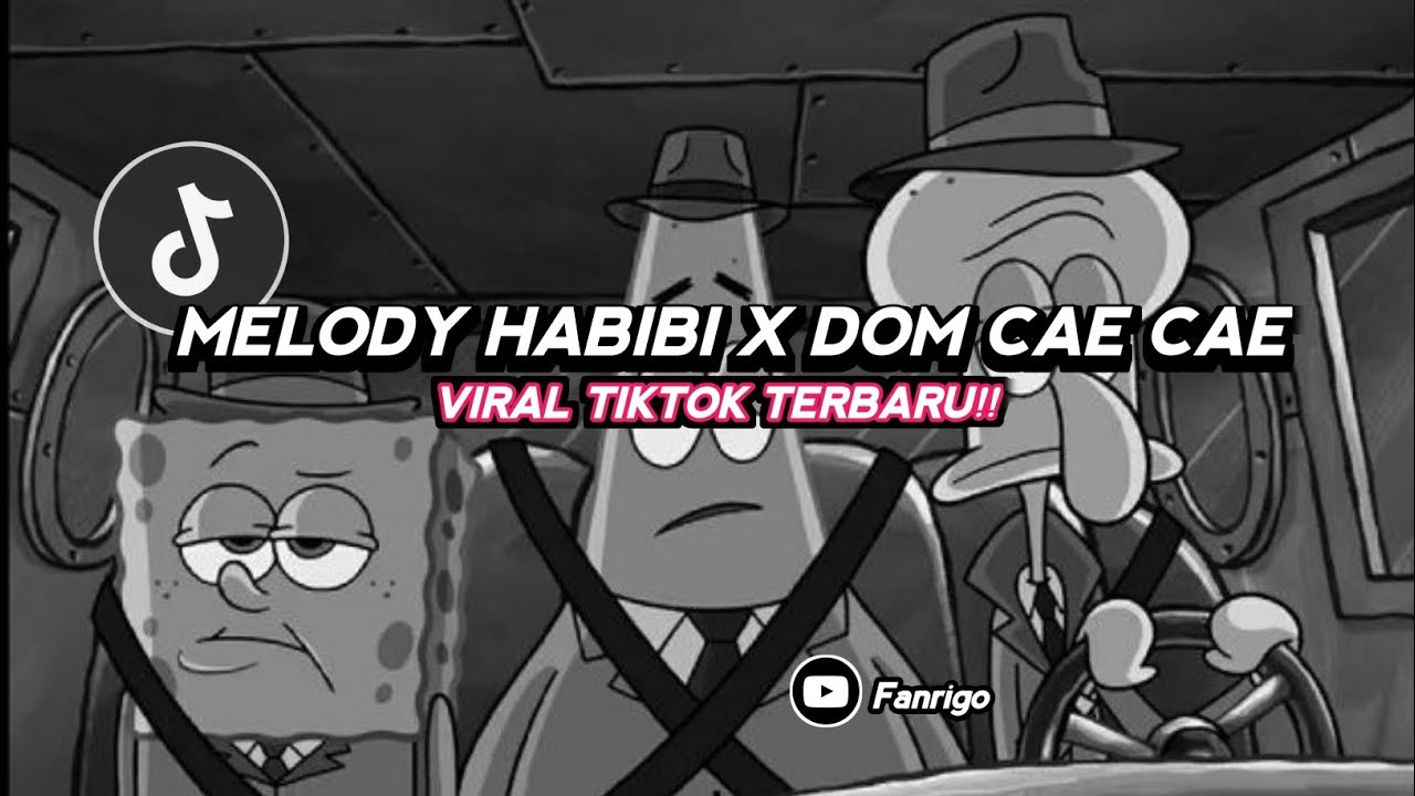 DJ Melody Habibi X Dom Cae Cae Viral TikTok 🔥