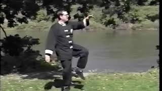 Tai Chi Yang's Long Form Section 3