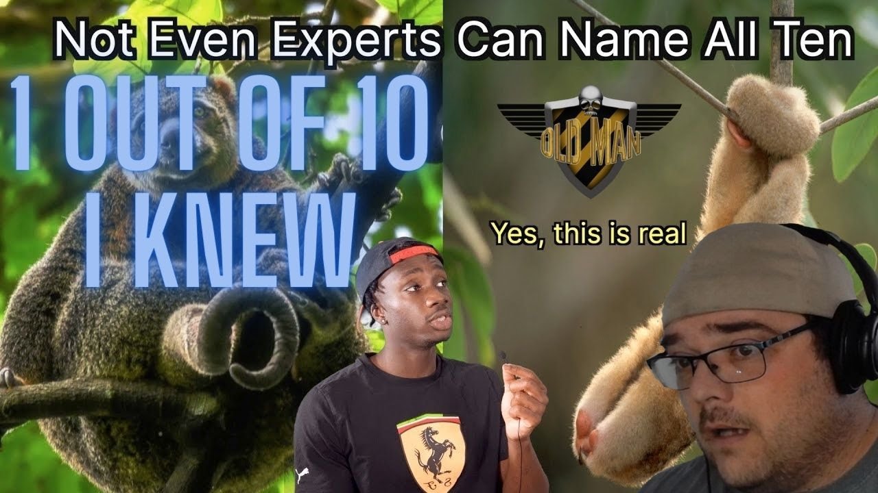 You've Never Seen Animals Like This Before by Casual Geographic - Reaction