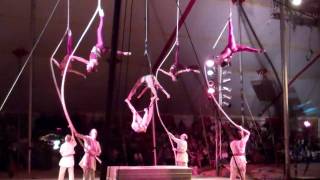Web/Lyra - FSU Circus  4/15/11