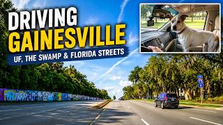 Driving Gainesville With My Deaf Dog UF The Swamp Florida Streets