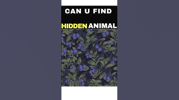 Challenge For You l Find hidden animal #hiddenobjectgame #hiddenpicture #findoddoneemoji #oddoneout