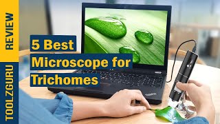 Best Microscope for Trichomes In 2024