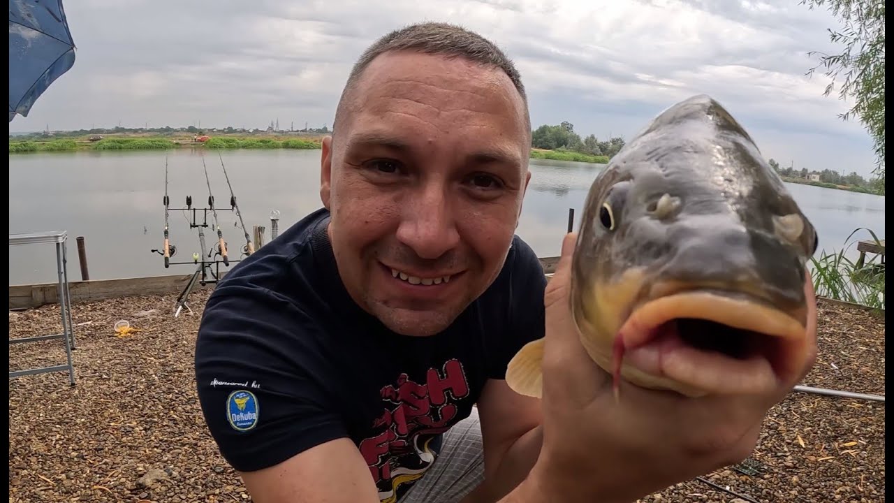 Рыбалка на карпа на Днестре в Маяках с ночевкой. Часть 1