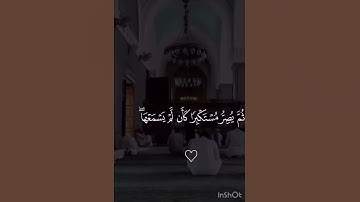 قران كريم بصوت ياسر الدوسري | تلاوه هادئه ومريحه😴🤎 قران كريم بصوت جميل جدا