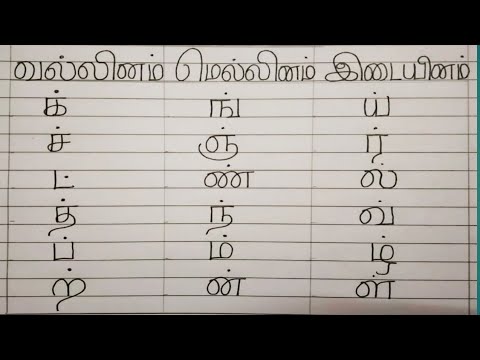 Tamil Mei Eluthukkal-வல்லினம் -மெல்லினம்- இடையினம்/Best ...