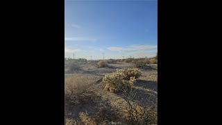 7024 Broad Avenue | 29 Palms Real Estate 7024 Broad Avenue | 29 Palms Real Estate