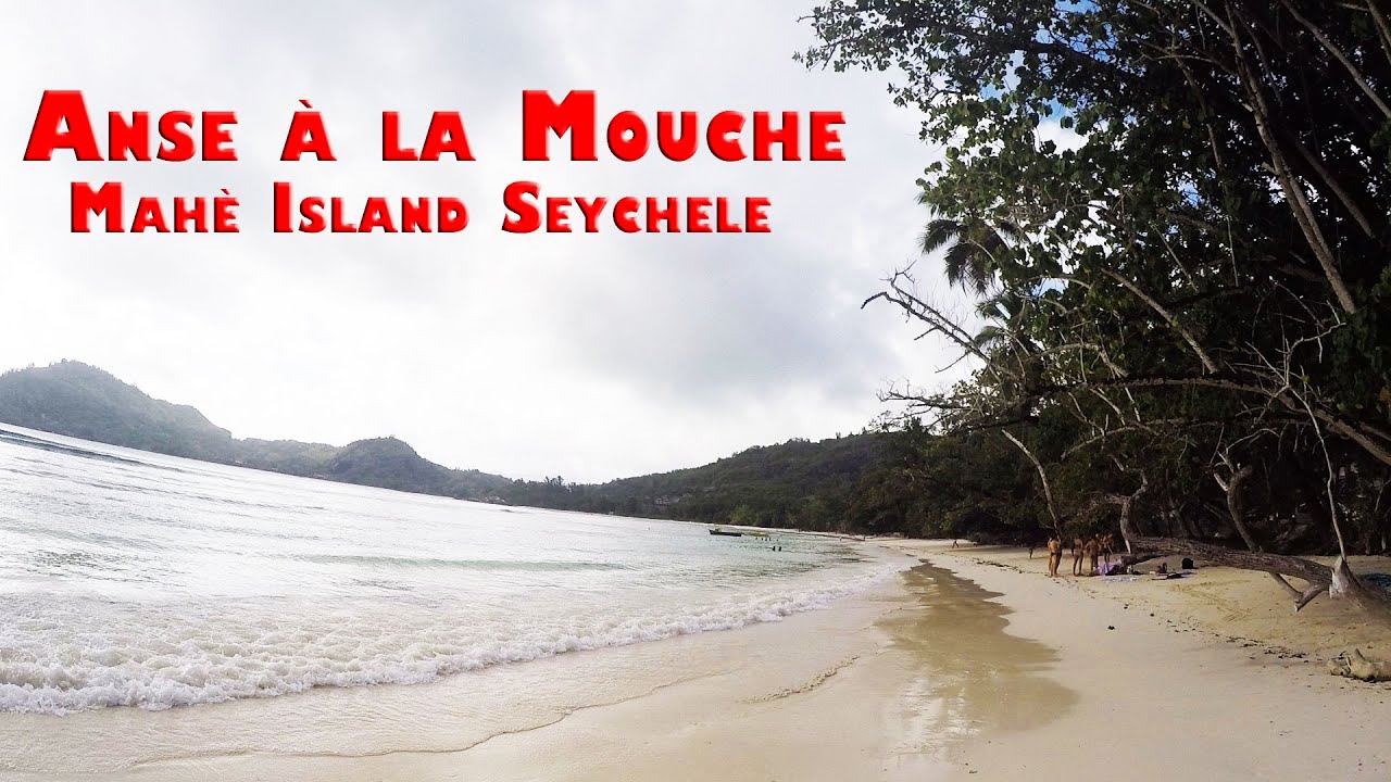 Spiaggia Anse A La Mouche Mahe Island Destimap Destinations On Map
