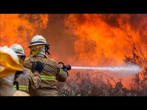 Video: Zašto Se Događaju šumski Požari