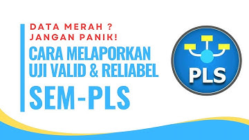 Indikator Merah di SmartPLS? Ini Cara Melaporkan Hasilnya di Skripsi atau Thesis