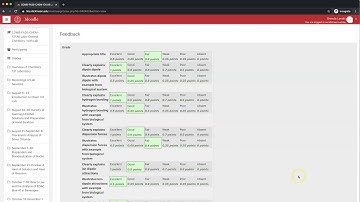 Moodle assignment feedback in student view