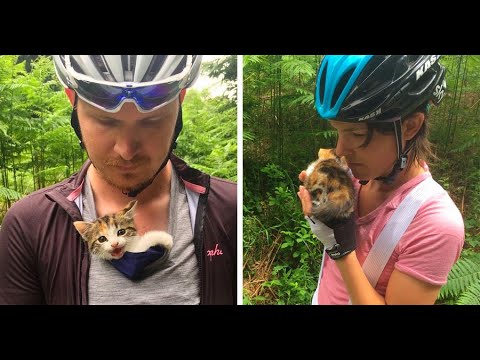 Stray Kitten Found On The Side Of The Road All Alone, Climbs On Cyclist’s Shoulder And Won’t Let Go