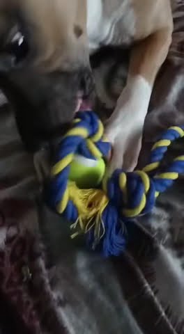youtube.com
