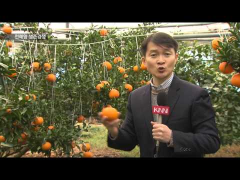 유튜브 미리보기