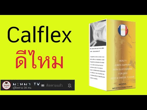 CalFlex pantip Calflex สุนัข calflex ดีไหม pantip CalFlex สุนัขบำรุงประสาท สุนัข ยาบำรุงสมอง ยาระบบ