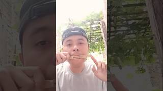 Jaw Harp #shorts #jawharp #music