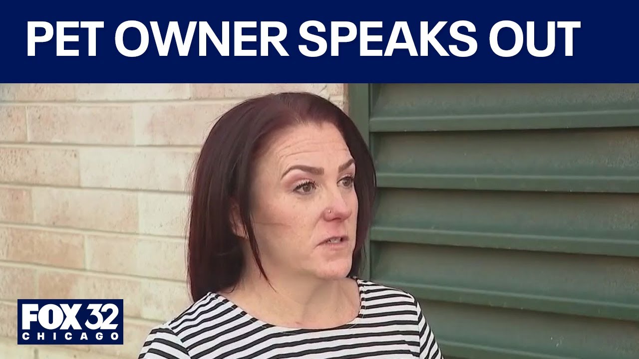 Pet owner speaks out after Illinois dog trainer arrested on animal ...