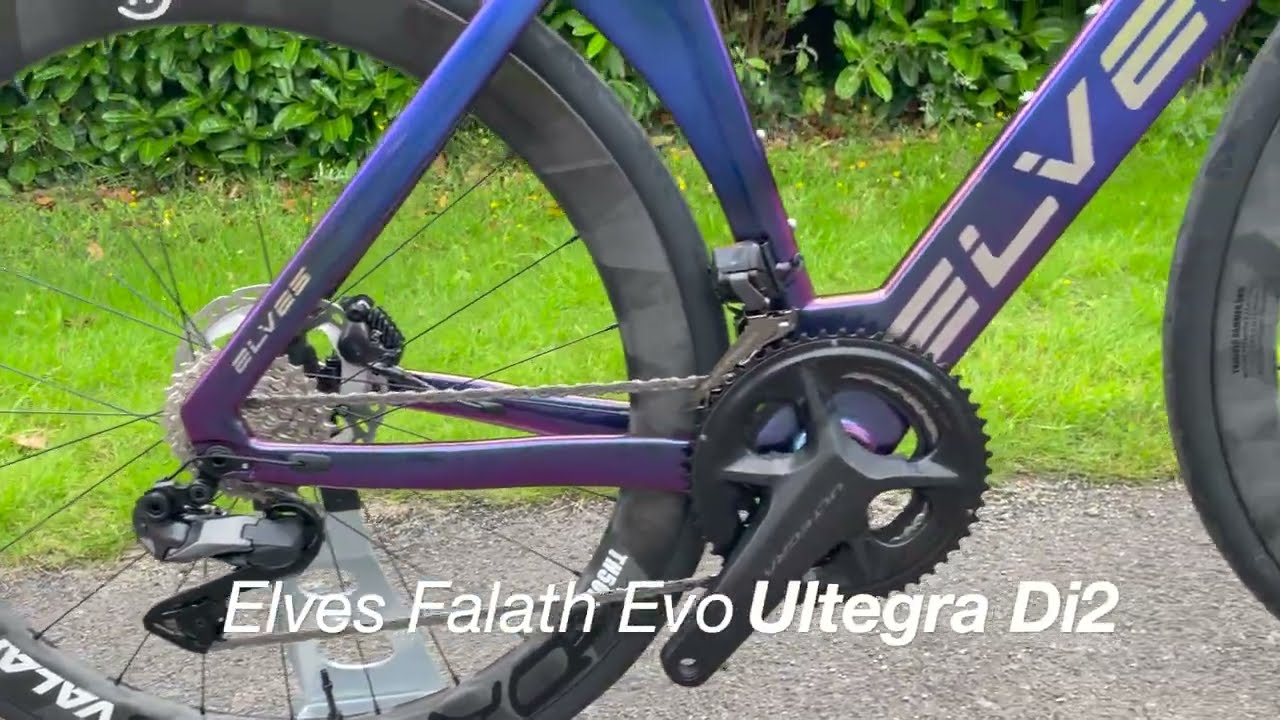 Alice Lethbridge Custom Built Elves Falath Evo