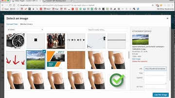 How To Create A Splash Page For WordPress Site With WP Lead Plus X