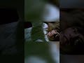 A Terrifying Clash of Humanity and Madness!🎬English Horror Thriller Full Movie 2025