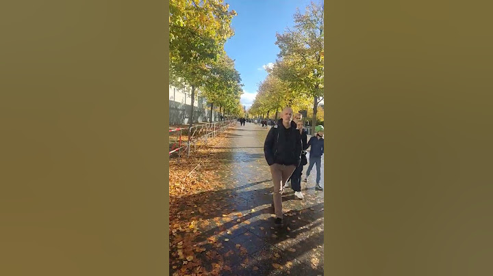 The fall #autumn #berlin #germany