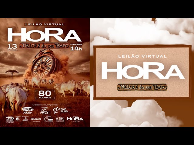 LOTE 29