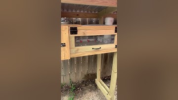 **Automatic Quail Watering System UPDATE!!**