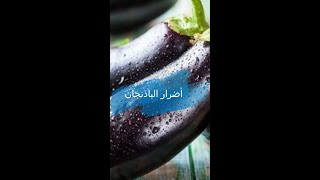 أضرار الباذنجان