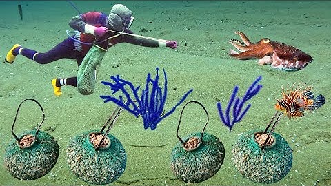 Rất Tiếc Khi Để Con Bạch Tuộc Tẩu Thoát Nhưng Bù Lại Được Nhiều Sò Ốc Ngon Kiếm Tiền Triệu | Cảnh 86