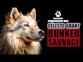 Conversation avec cleste grant  bunker sauvage