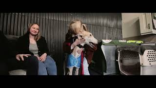 A Visit To The Greyhound Care Centre
