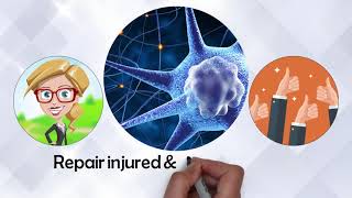 Regenerative Cellular Therapy, Regenerative Medicine Explanation in Delray Beach, Florida