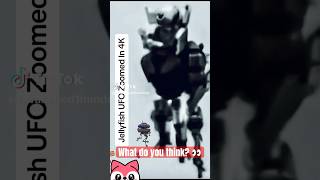 Viral Jellyfish Uap Analysis 2024